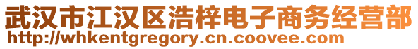 武漢市江漢區(qū)浩梓電子商務(wù)經(jīng)營(yíng)部