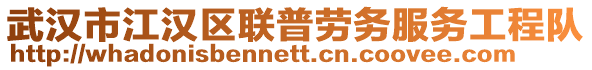 武漢市江漢區(qū)聯(lián)普勞務(wù)服務(wù)工程隊