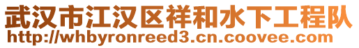 武漢市江漢區祥和水下工程隊