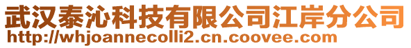 武漢泰沁科技有限公司江岸分公司