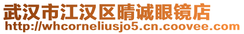 武漢市江漢區晴誠眼鏡店