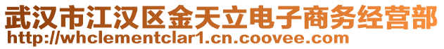 武漢市江漢區(qū)金天立電子商務(wù)經(jīng)營部