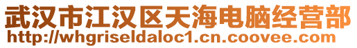 武漢市江漢區(qū)天海電腦經(jīng)營部