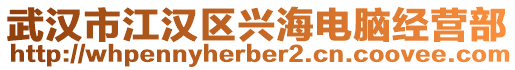武漢市江漢區興海電腦經營部