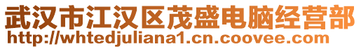 武漢市江漢區茂盛電腦經營部