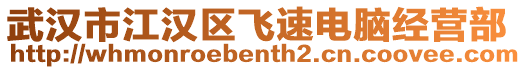 武漢市江漢區飛速電腦經營部