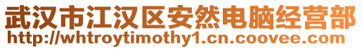 武漢市江漢區(qū)安然電腦經(jīng)營部
