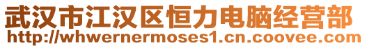 武漢市江漢區恒力電腦經營部