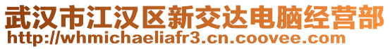 武漢市江漢區新交達電腦經營部