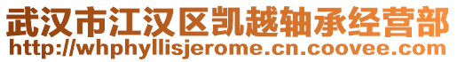 武漢市江漢區(qū)凱越軸承經(jīng)營部