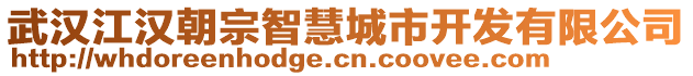 武漢江漢朝宗智慧城市開發(fā)有限公司