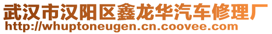 武漢市漢陽區(qū)鑫龍華汽車修理廠