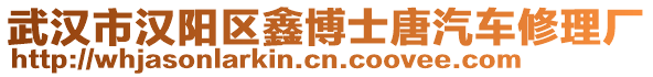 武漢市漢陽區(qū)鑫博士唐汽車修理廠