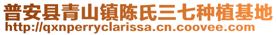 普安縣青山鎮(zhèn)陳氏三七種植基地