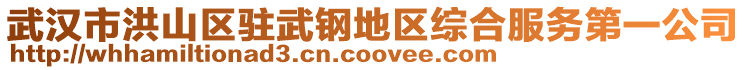 武漢市洪山區駐武鋼地區綜合服務第一公司