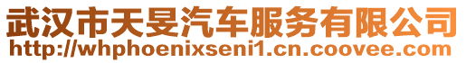 武漢市天旻汽車服務(wù)有限公司