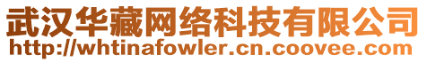 武漢華藏網(wǎng)絡(luò)科技有限公司