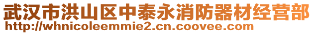 武漢市洪山區(qū)中泰永消防器材經(jīng)營部