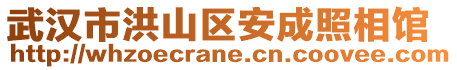 武漢市洪山區(qū)安成照相館