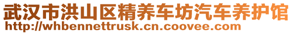 武漢市洪山區(qū)精養(yǎng)車坊汽車養(yǎng)護館