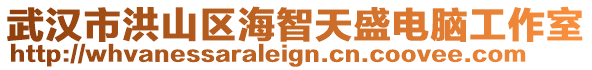 武漢市洪山區(qū)海智天盛電腦工作室