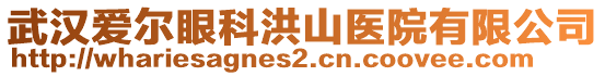 武漢愛爾眼科洪山醫(yī)院有限公司