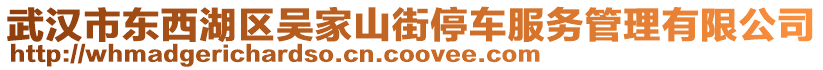 武漢市東西湖區(qū)吳家山街停車服務(wù)管理有限公司