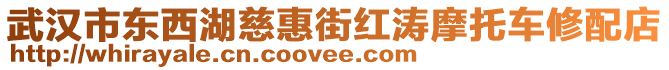 武漢市東西湖慈惠街紅濤摩托車修配店