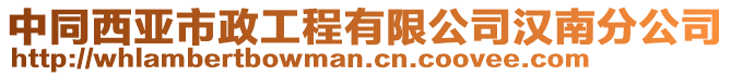 中同西亞市政工程有限公司漢南分公司