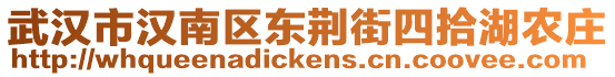 武漢市漢南區(qū)東荊街四拾湖農(nóng)莊