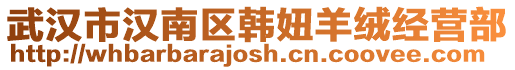 武漢市漢南區(qū)韓妞羊絨經(jīng)營部