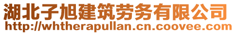 湖北子旭建筑勞務有限公司