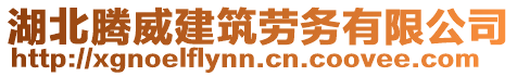 湖北騰威建筑勞務(wù)有限公司