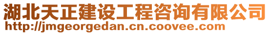 湖北天正建設(shè)工程咨詢有限公司