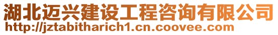 湖北邁興建設(shè)工程咨詢有限公司