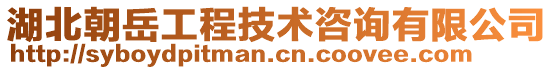 湖北朝岳工程技術咨詢有限公司