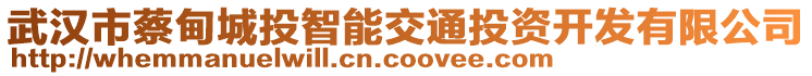 武漢市蔡甸城投智能交通投資開發(fā)有限公司