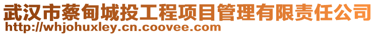 武漢市蔡甸城投工程項目管理有限責(zé)任公司