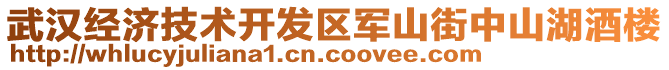 武漢經(jīng)濟技術(shù)開發(fā)區(qū)軍山街中山湖酒樓