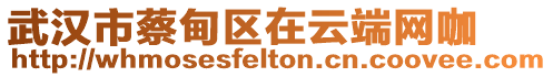 武漢市蔡甸區(qū)在云端網(wǎng)咖