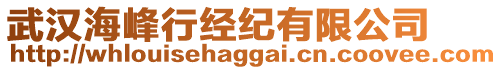 武汉海峰行经纪有限公司