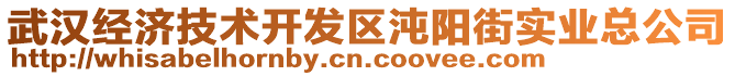 武漢經(jīng)濟技術(shù)開發(fā)區(qū)沌陽街實業(yè)總公司