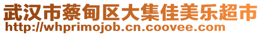 武漢市蔡甸區(qū)大集佳美樂超市