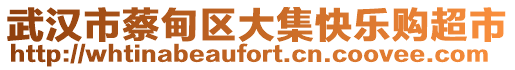 武漢市蔡甸區(qū)大集快樂購超市