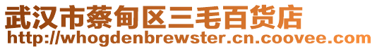 武漢市蔡甸區(qū)三毛百貨店