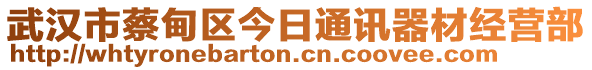 武漢市蔡甸區(qū)今日通訊器材經(jīng)營部