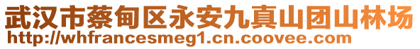 武漢市蔡甸區(qū)永安九真山團山林場