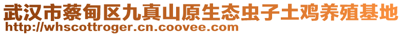 武漢市蔡甸區(qū)九真山原生態(tài)蟲子土雞養(yǎng)殖基地