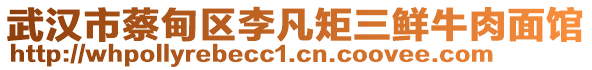 武漢市蔡甸區(qū)李凡矩三鮮牛肉面館