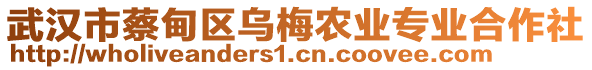 武漢市蔡甸區(qū)烏梅農(nóng)業(yè)專業(yè)合作社